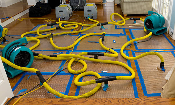 Professional Flood Damage Restoration technician working in Los Alamitos, CA